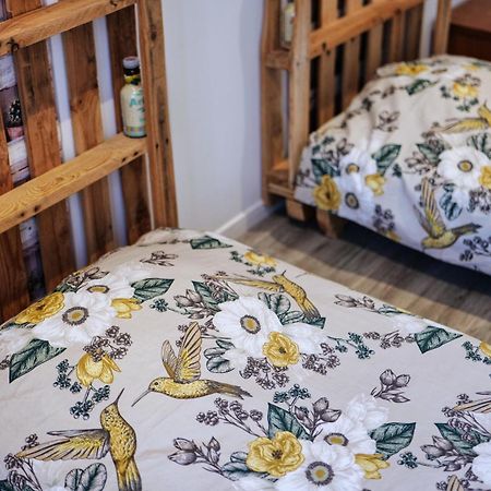 Gite Proche Du Canal Du Midi Et Narbonne 2 Chambres Mirepeisset エクステリア 写真